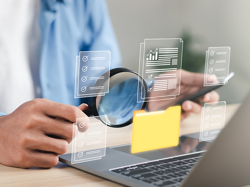 Current Owner Searches