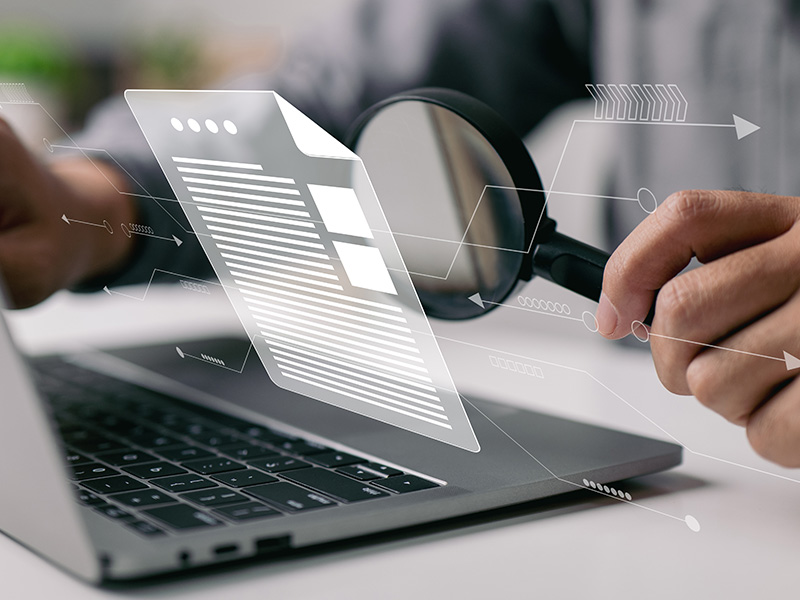 Current Vesting Information